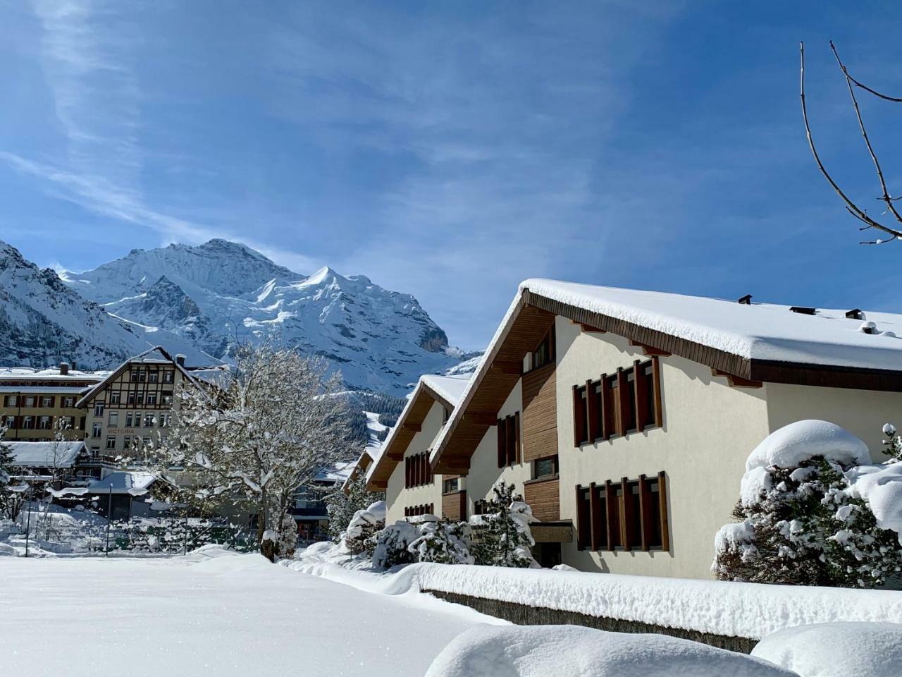 Chalet Primula Penthouse Wengen Buitenkant foto